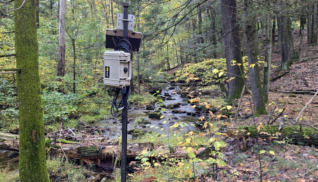 Autumn Update:  Field Maintenance, Mayfly Restocking, and Website Improvements
