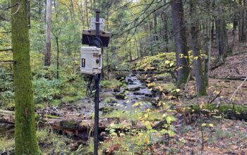 Autumn Update:  Field Maintenance, Mayfly Restocking, and Website Improvements