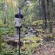 Autumn Update:  Field Maintenance, Mayfly Restocking, and Website Improvements