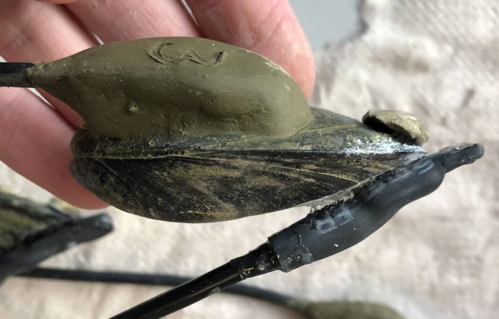 A mussel with two biosensors attached.