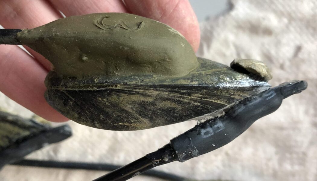 Real-Time Monitoring of Pollution Biosentinels