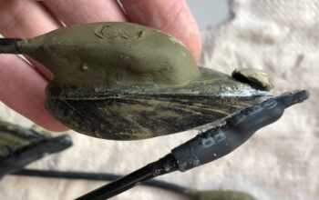 Real-Time Monitoring of Pollution Biosentinels