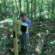 The “Frankenlog” Network: A Forest Floor Ecohydrology Sensor Network Using the Mayfly Data Logger