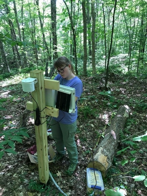 A female undergraduate student working on a sensor station in a wooded area.