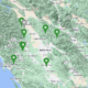 Mayflies in Coastal Redwoods – Northern California