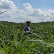 Profile picture of zackmeuth