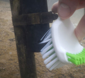 Using a dish scrub brush to clean the screw heads inside the CTD sensor