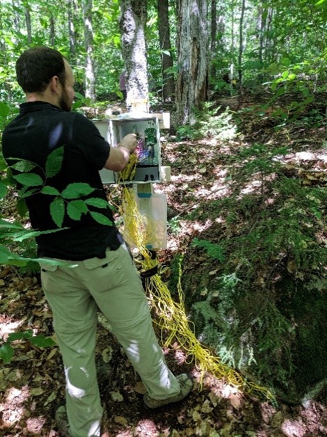A researcher wiring a sensor station in a forest.
