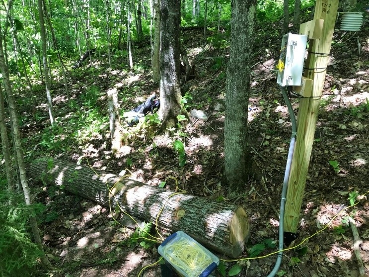 A sensor station box at one of the twelve logs in the ASCC experiment.